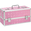 Lockable Sex Toy Box Large Pink Butterfly